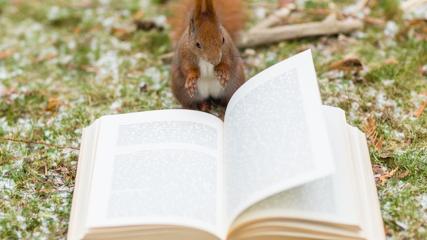 Lectura en silenci a un espai acollidor